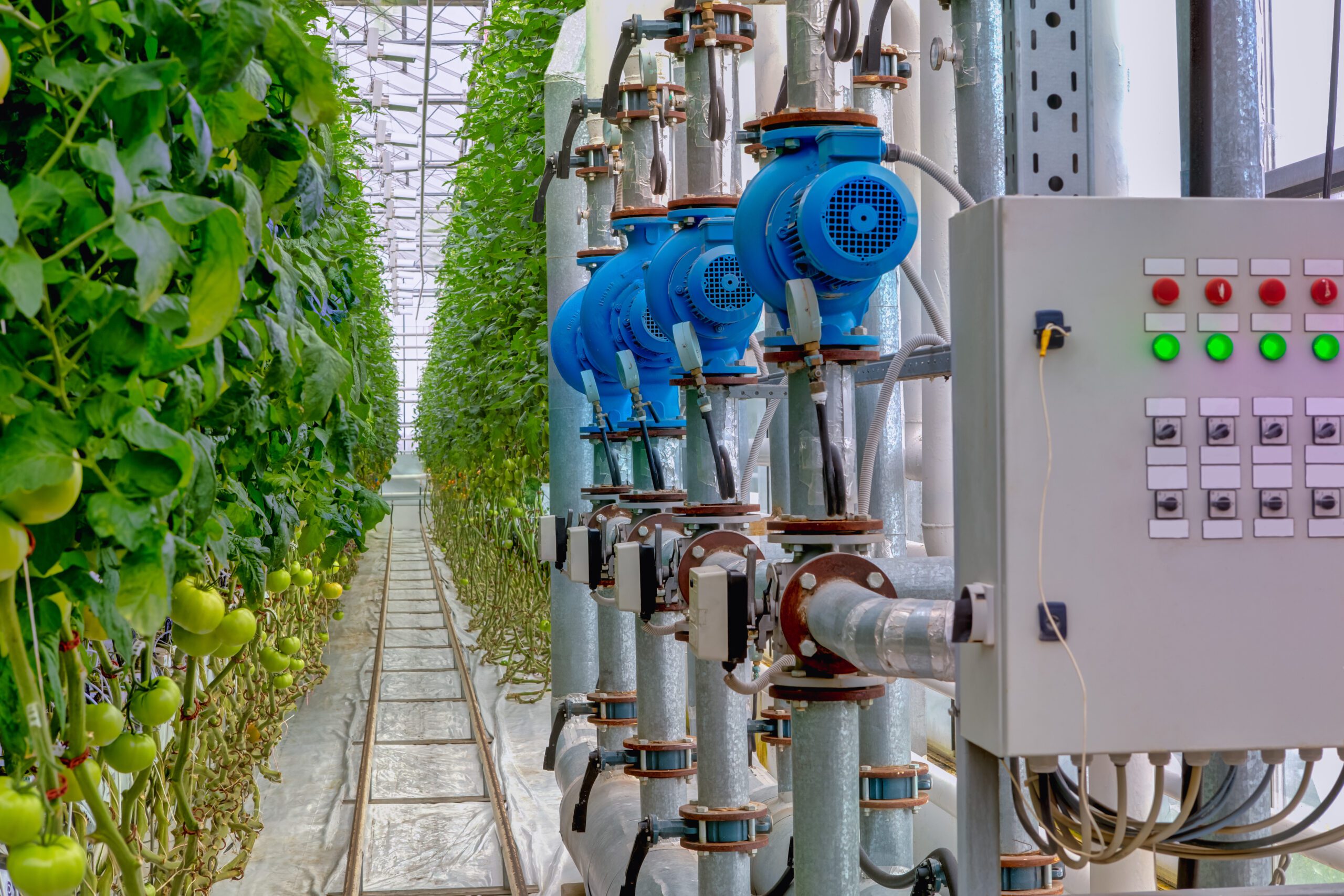 Management,Equipment,Industrial,Greenhouse,To,Grow,Tomatoes.,Monitoring,Sensors.