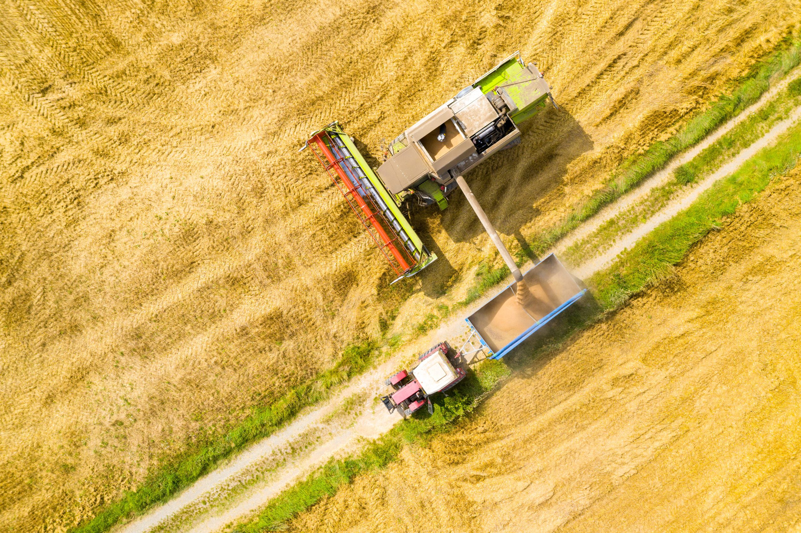 Aerial,View,Of,Combine,Harvester,On,Wheat,Field.,Agriculture,And