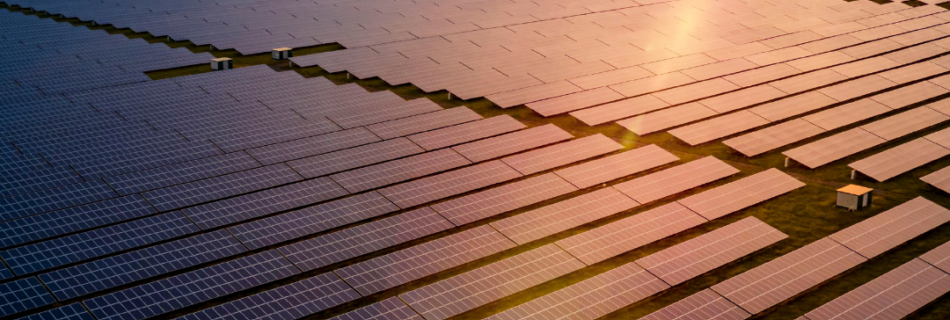 U.S. solar manufacturing Renewable energy future Economic challenges